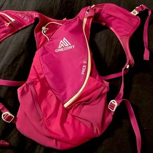 Gregory Pace 3 running backpack.
